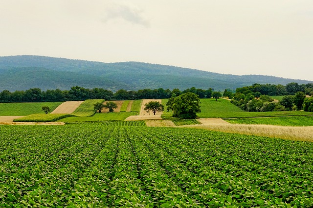 agricoltura biologica