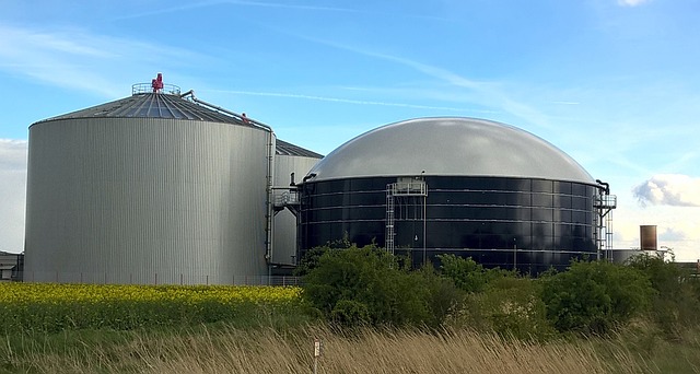 PRODURRE BIOGAS: VADEMECUM PER PRINCIPIANTI