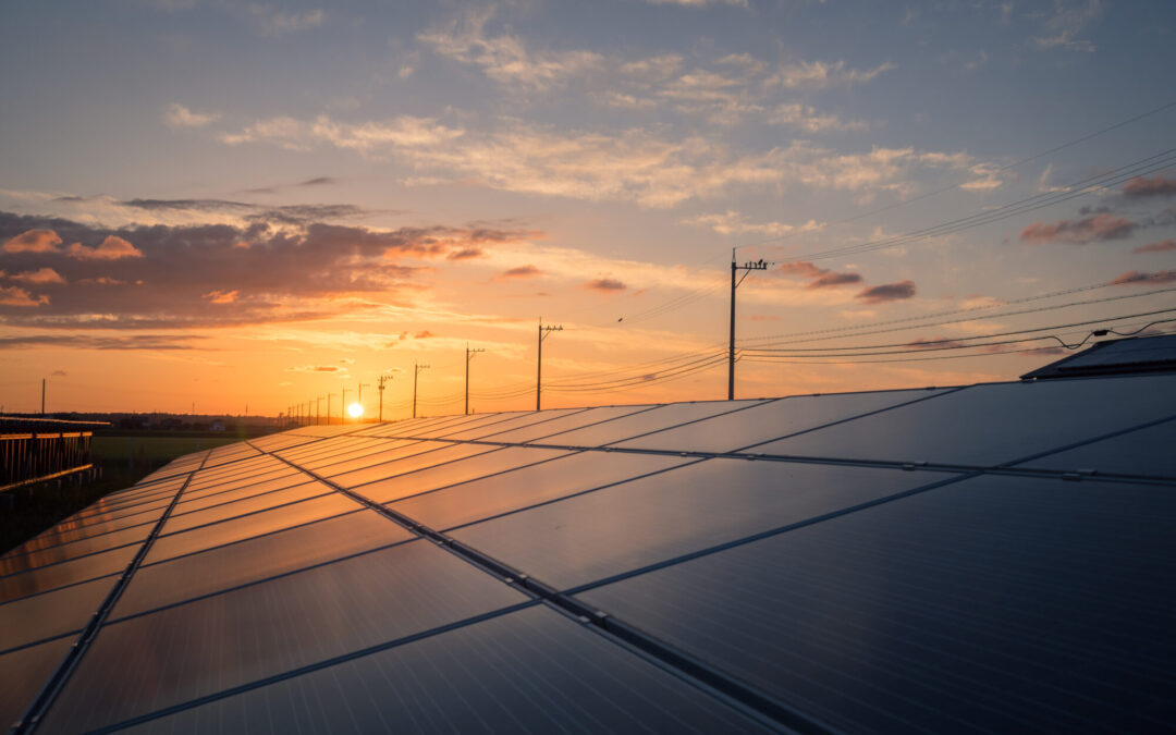 Repowering fotovoltaico: cos’è, vantaggi e differenze dal revamping