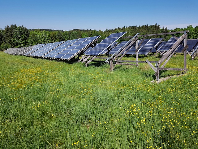 FOTOVOLTAICO AGRICOLO: A CHE PUNTO SIAMO?