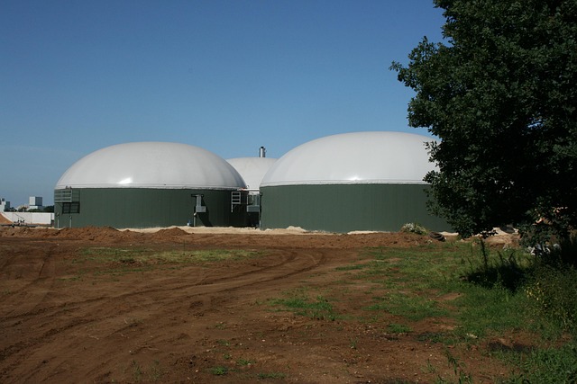Produzione di biogas: i fattori che ne determinano la resa